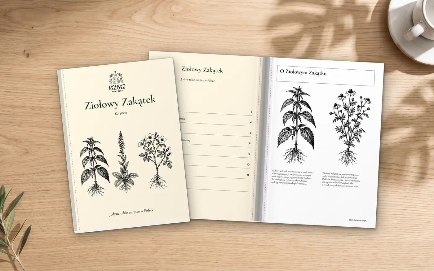 Książki EKO: wersja 2 projektu naszego zespołu