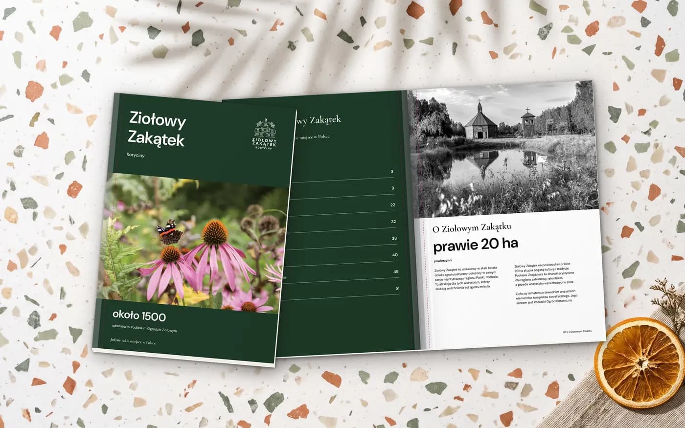 Książki EKO: wersja 3 projektu naszego zespołu